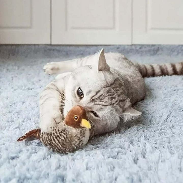 Jouet interactif pour chat oiseau avec sons