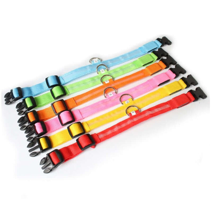 Collier LED pour chien - collier de sécurité