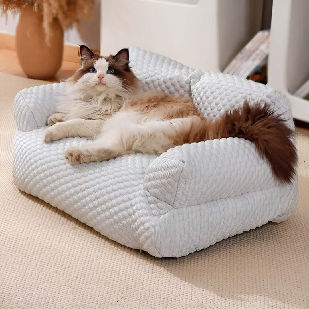 Panier lavable en peluche pour animaux de compagnie - Orthopédique et confortable