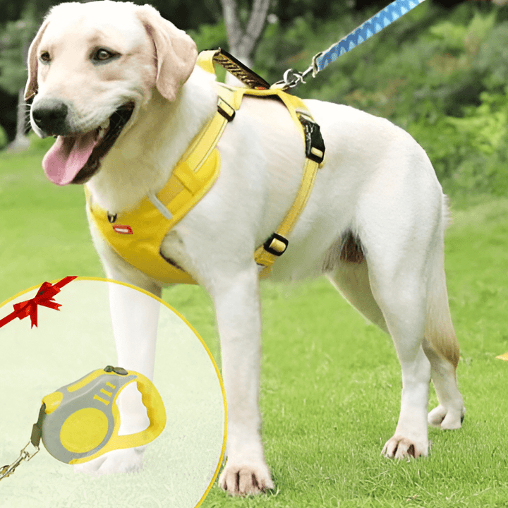Harnais anti-traction pour chien Confort et sécurité