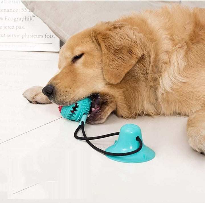 Jouet à tirer robuste pour chien avec ventouse