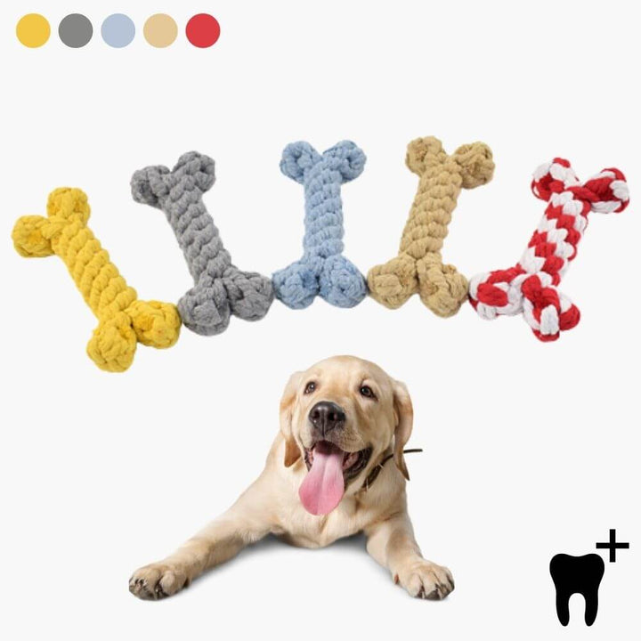 Jouet pour chien, corde de nettoyage des dents - jouet à mâcher 15 cm