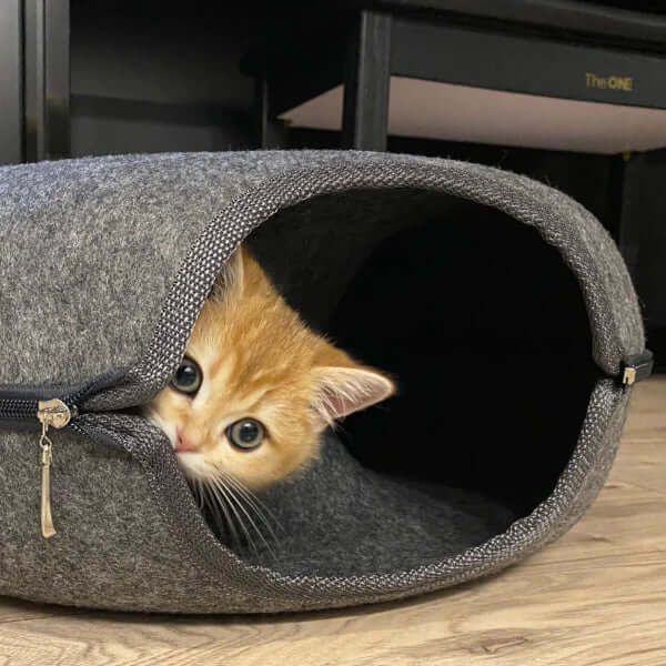 Lit luxueux pour chat et grotte de jeu