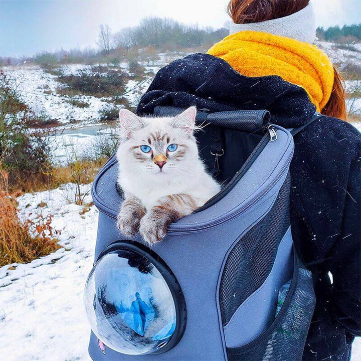 Sac de transport pour chat, pratique et pliable
