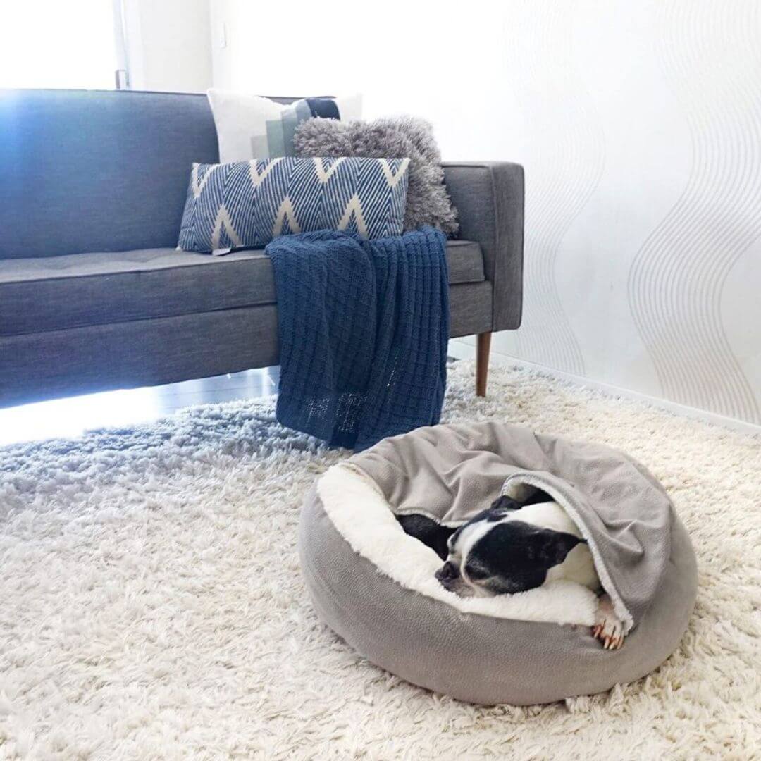 Grotte douillette pour chien, lit câlin, grotte pour lit pour chien