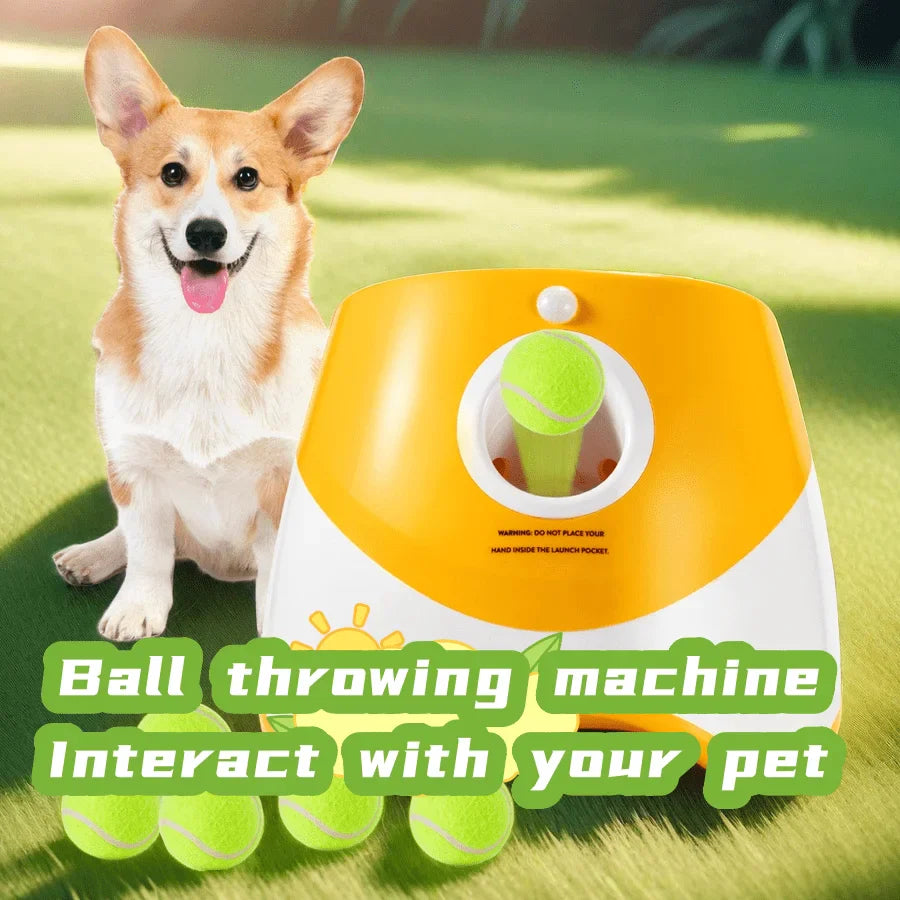 "Automatischer Ballwerfer für Hunde, USB-wiederaufladbar, kompakt, in Blau, Grün, Hellgrün, M, Orange, für aktives Spiel."