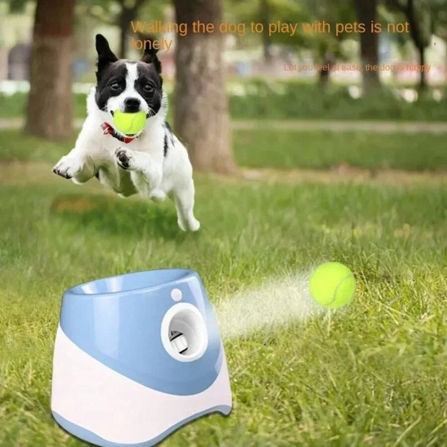 "Automatischer Ballwerfer für Hunde, USB-wiederaufladbar, kompakt, in Blau, Grün, Hellgrün, M, Orange, für aktives Spiel."