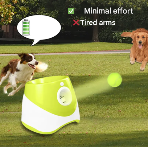 Automatischer, tragbarer, wiederaufladbarer Ballwerfer für Hunde, ideal für den Garten. Kommt mit 3 Bällen in leuchtenden Far
