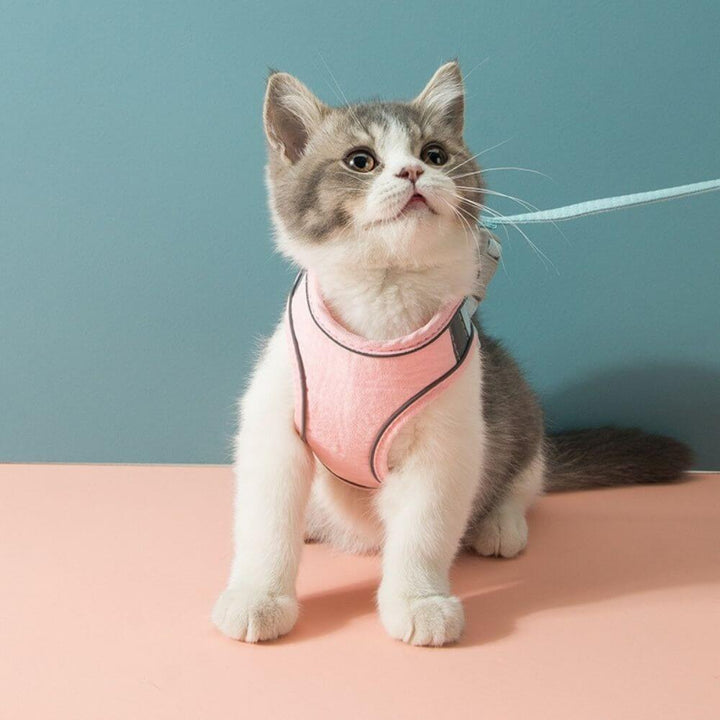 Ausbruchsicheres Katzengeschirr