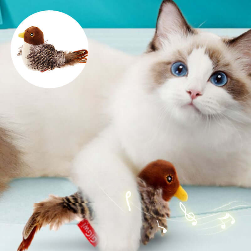 Jouet interactif pour chat oiseau avec sons