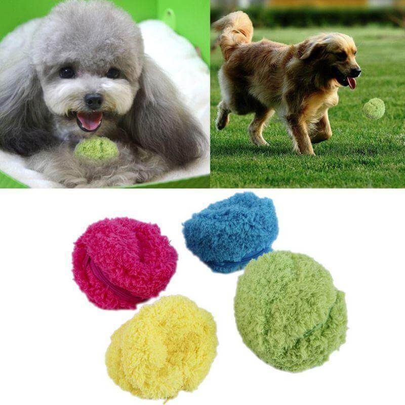 Balle interactive auto-roulante pour chien