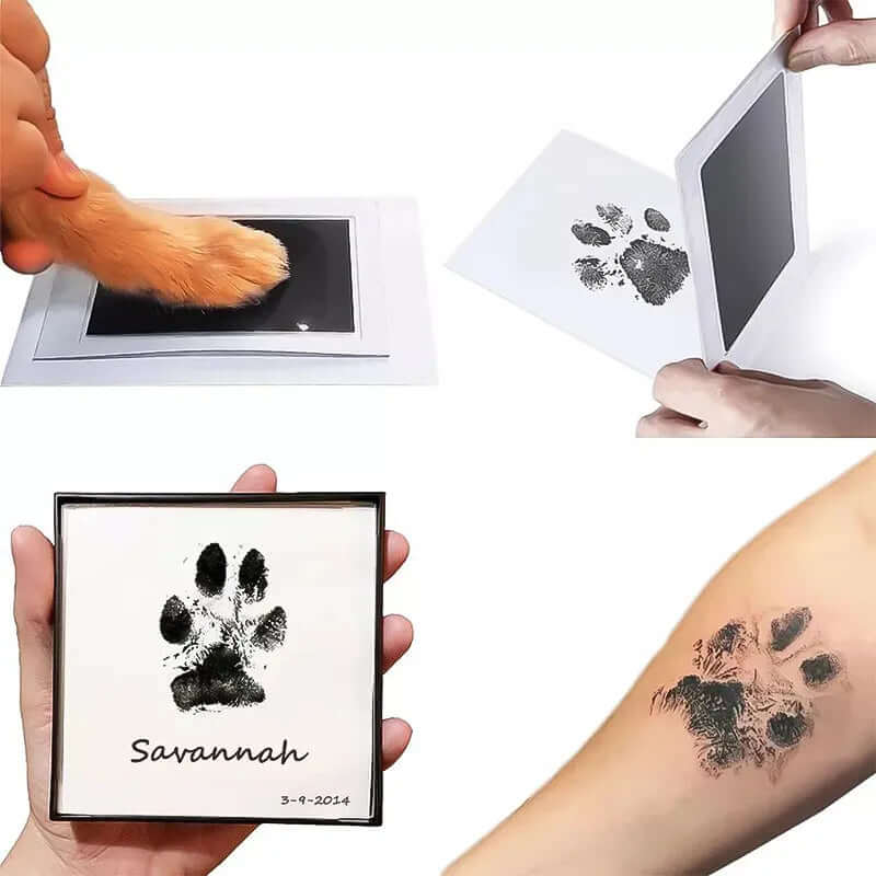 Kit d'empreintes de pattes d'animaux – Kit souvenir