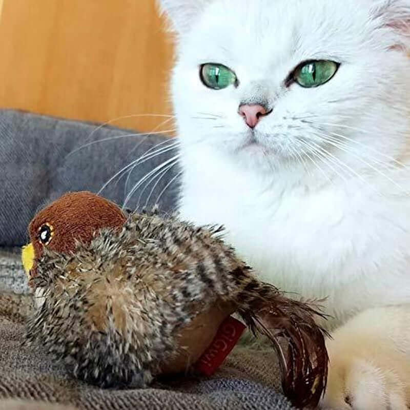 Jouet interactif pour chat oiseau avec sons