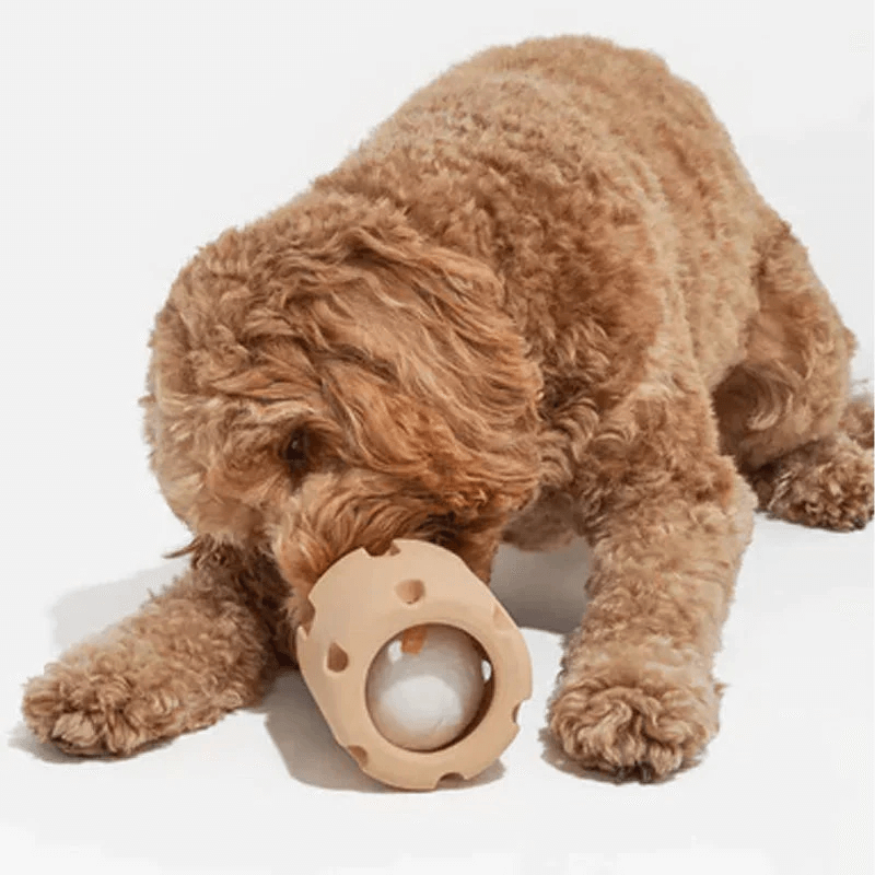 Jouet pour chien, balle sautante pour les soins dentaires et le plaisir