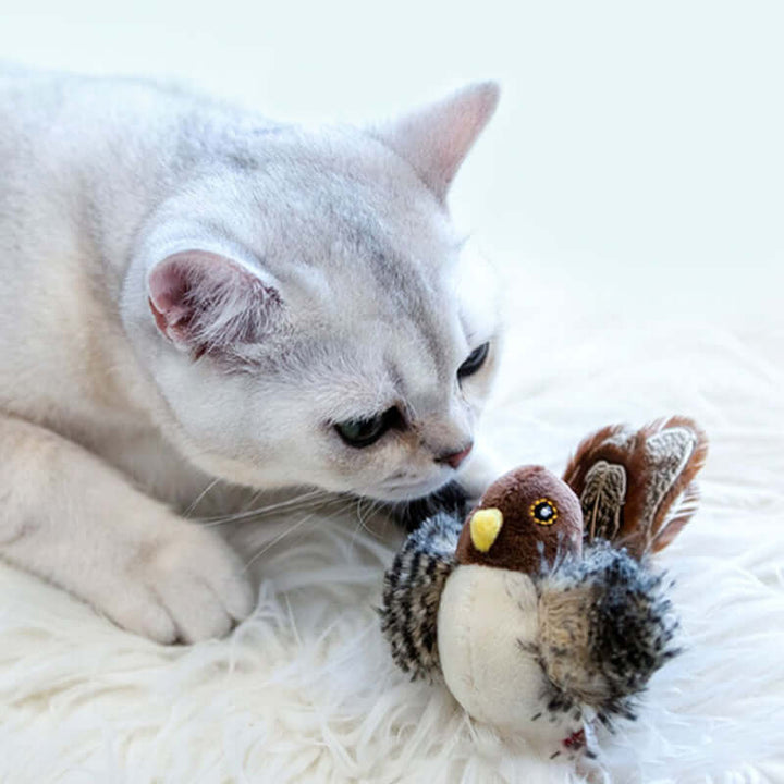 Jouet interactif pour chat oiseau avec sons