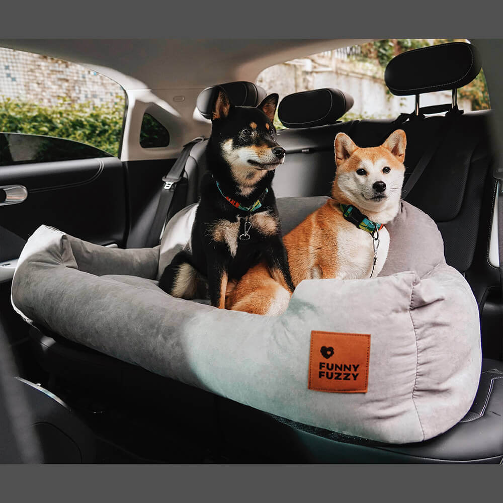Hundeautositz & Schutzdecke 2-in-1