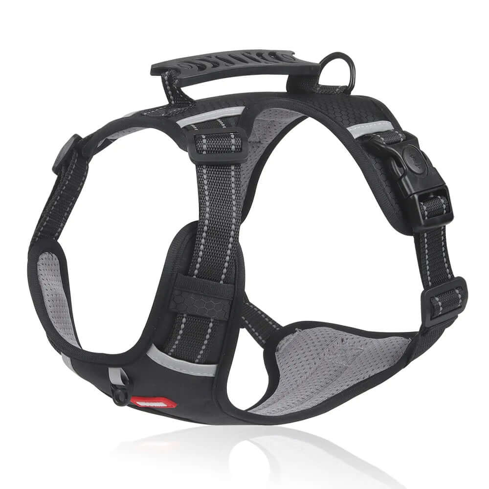 Harnais anti-traction pour chien Confort et sécurité