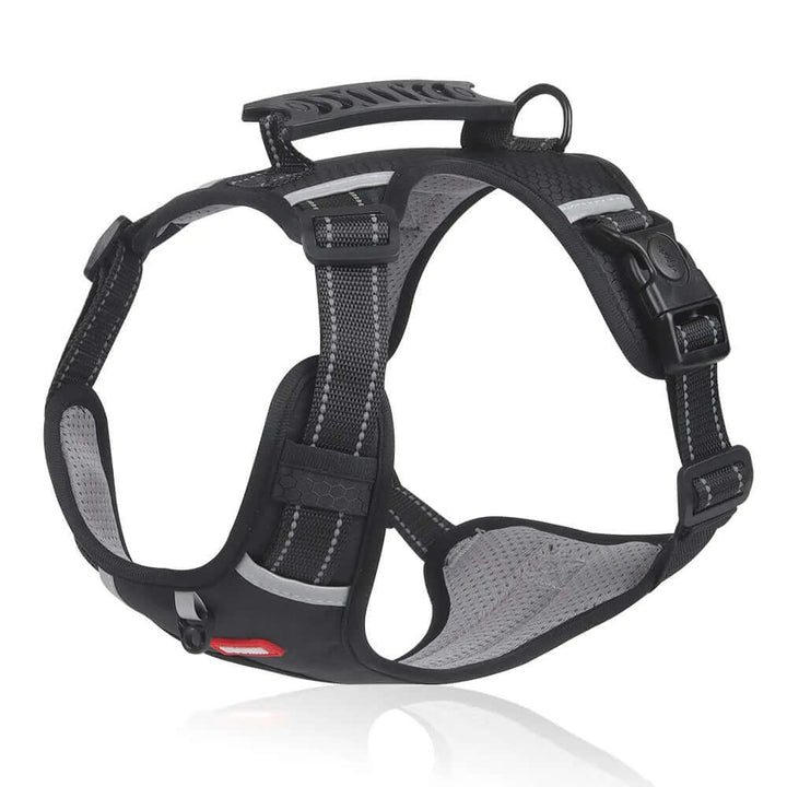 Harnais anti-traction pour chien Confort et sécurité