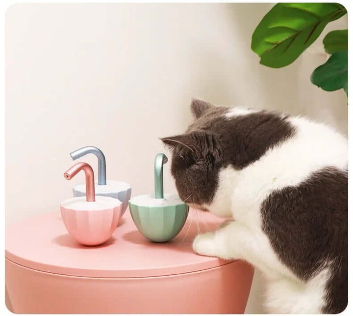 Jouet interactif pour chat avec pointeur laser