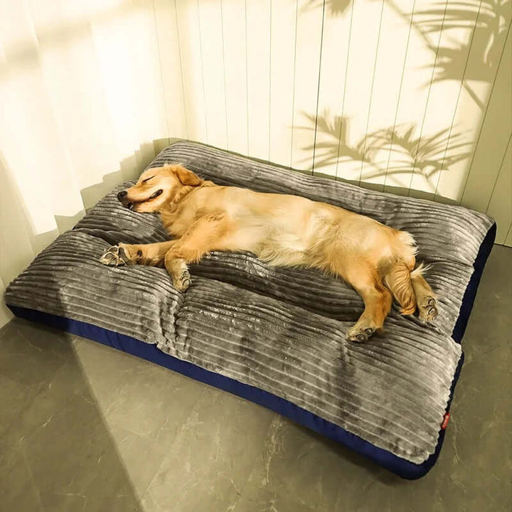 Orthopädisches Hundebett für Komfort und Wärme