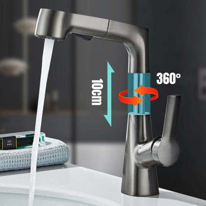 Mitigeur de lavabo avec douchette extractible