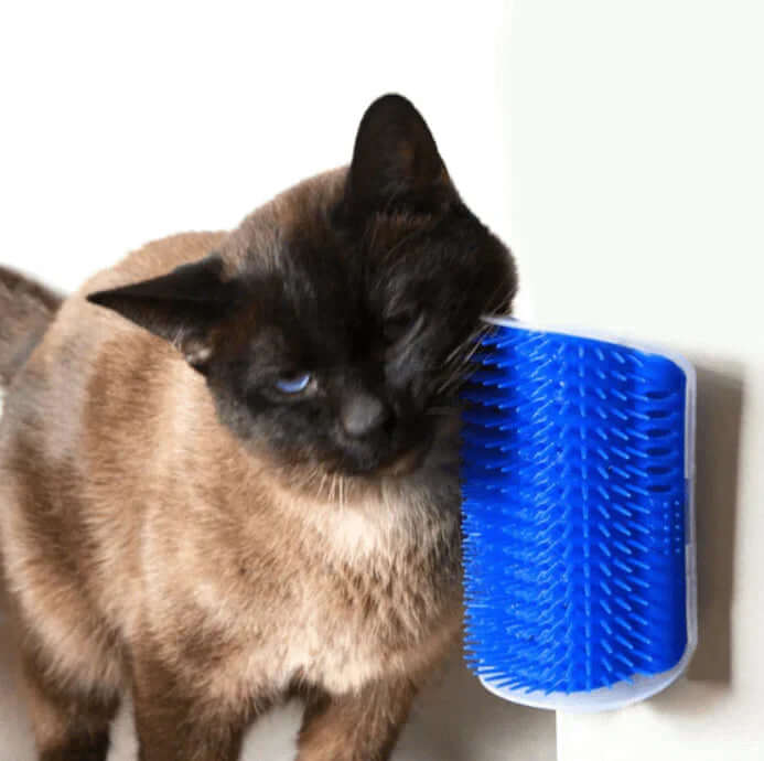 Brosse d'auto-toilettage pour chat pour le coin
