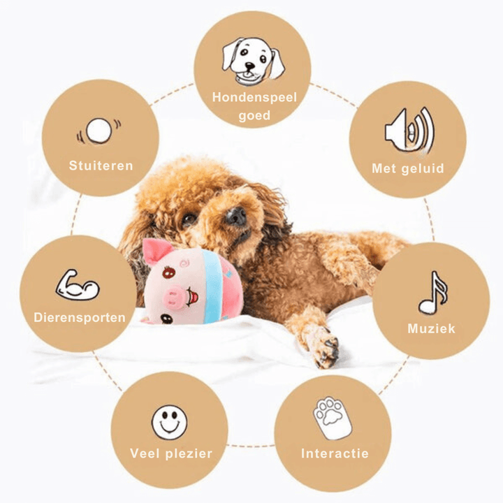 Jouets interactifs pour chiens - exercice et plaisir