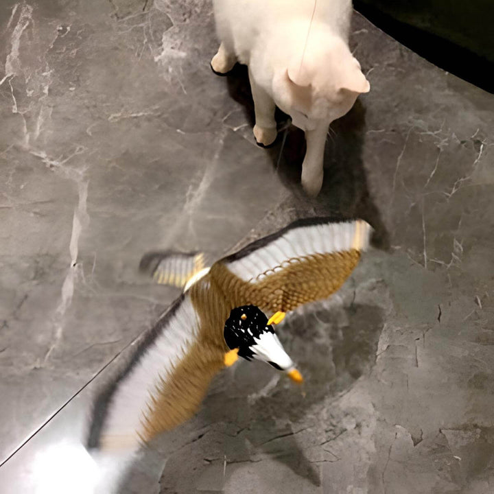 Jouet pour chat oiseau volant - jouet à mouvement automatique