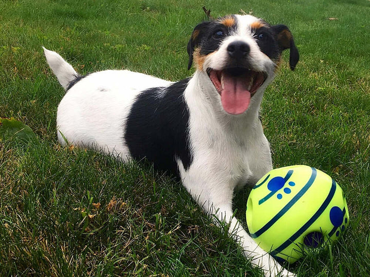 Balle interactive pour chien - GiggleSphere