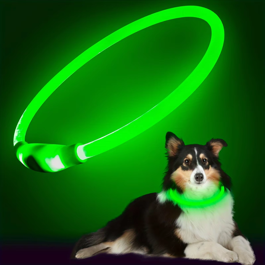 "Blaues leuchtendes LED-Hundehalsband, USB-wiederaufladbar, für sichere Spaziergänge bei Nacht, verstellbar und wetterfest."