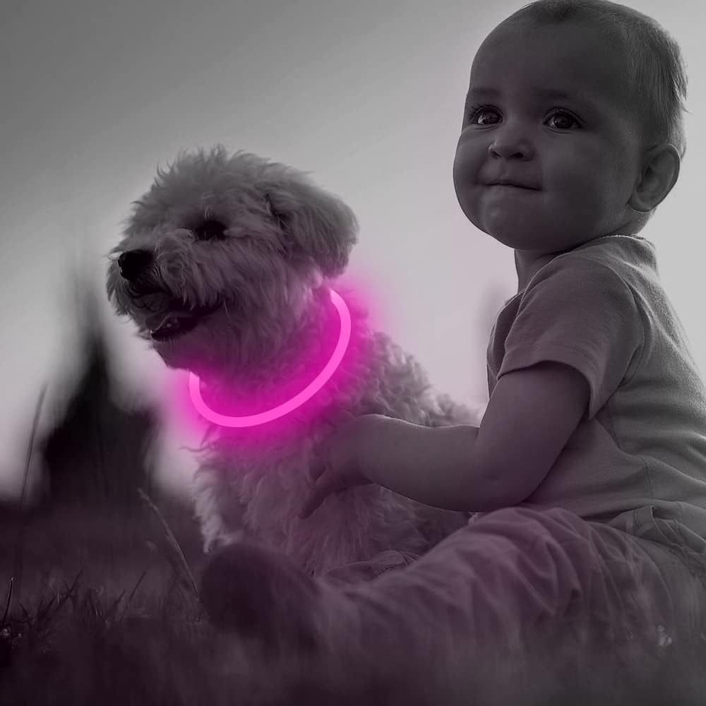"Blaues leuchtendes LED-Hundehalsband, USB-wiederaufladbar, für sichere Spaziergänge bei Nacht, verstellbar und wetterfest."