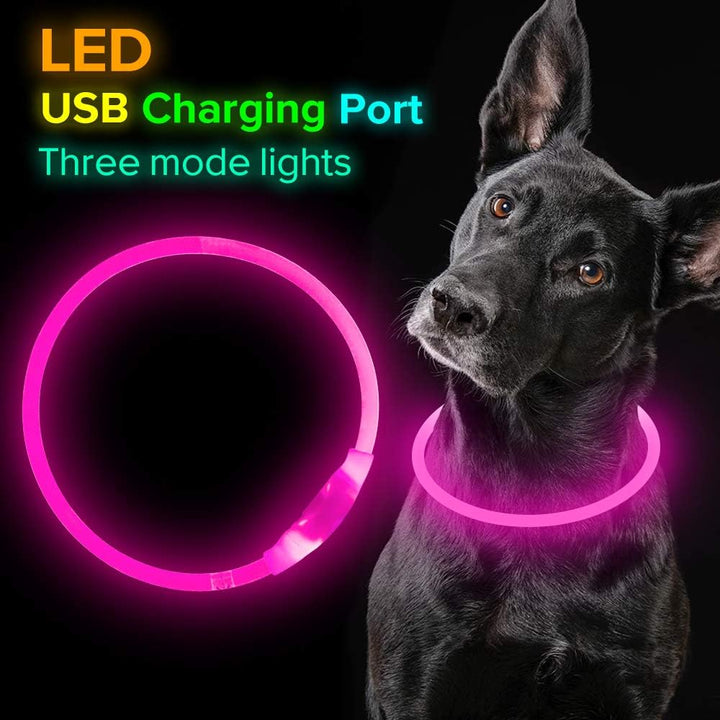 "Blaues leuchtendes LED-Hundehalsband, USB-wiederaufladbar, für sichere Spaziergänge bei Nacht, verstellbar und wetterfest."