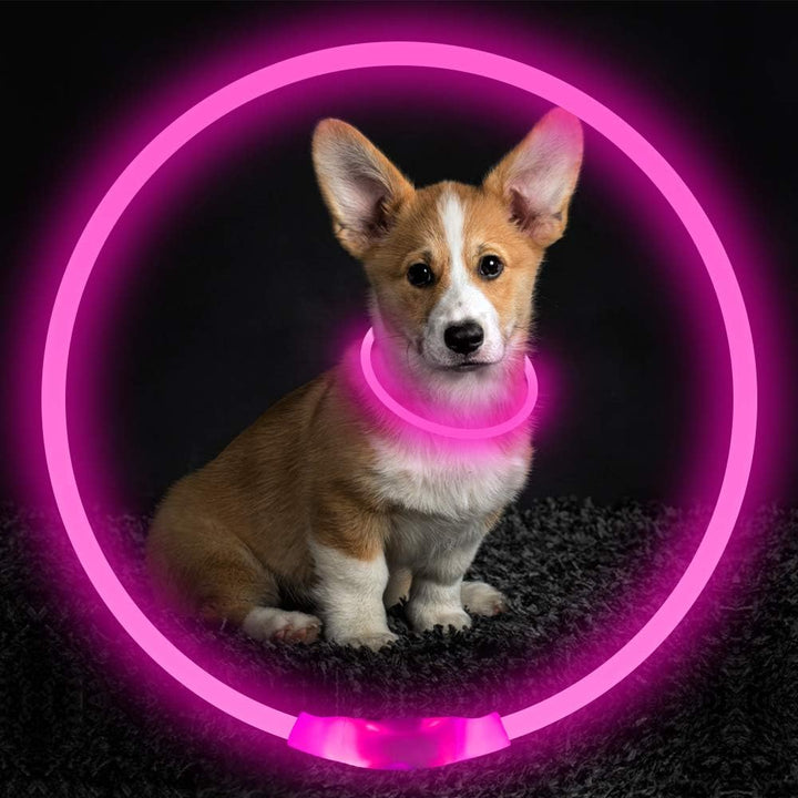 "Blaues leuchtendes LED-Hundehalsband, USB-wiederaufladbar, für sichere Spaziergänge bei Nacht, verstellbar und wetterfest."
