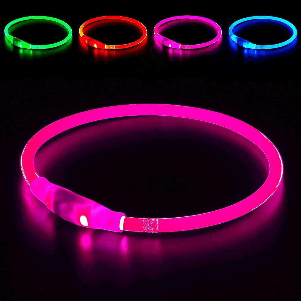 "Blaues leuchtendes LED-Hundehalsband, USB-wiederaufladbar, für sichere Spaziergänge bei Nacht, verstellbar und wetterfest."