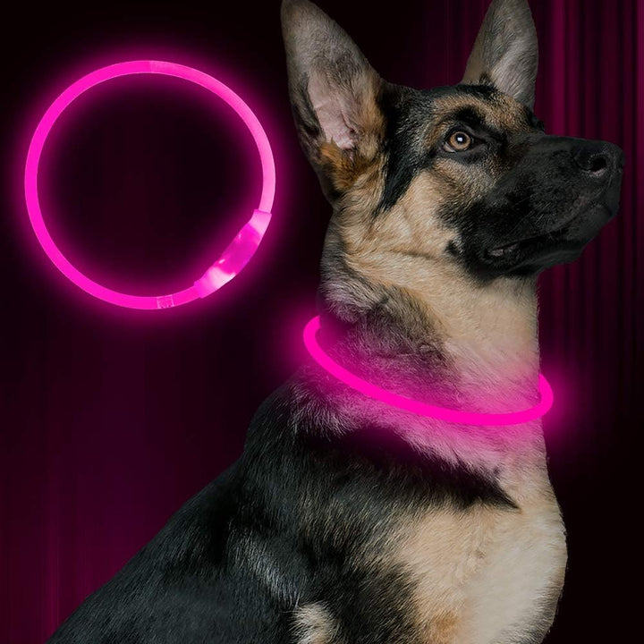 "Blaues leuchtendes LED-Hundehalsband, USB-wiederaufladbar, für sichere Spaziergänge bei Nacht, verstellbar und wetterfest."
