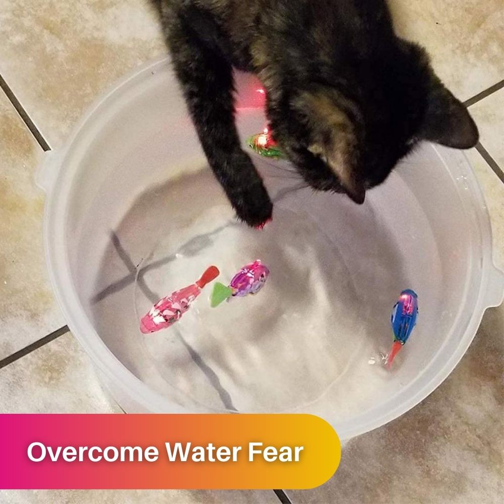 "Bunte interaktive Fischspielzeuge in Aquarium für Katzen, leuchtende Farben, realistische Bewegungen, sensorisches Spiel."