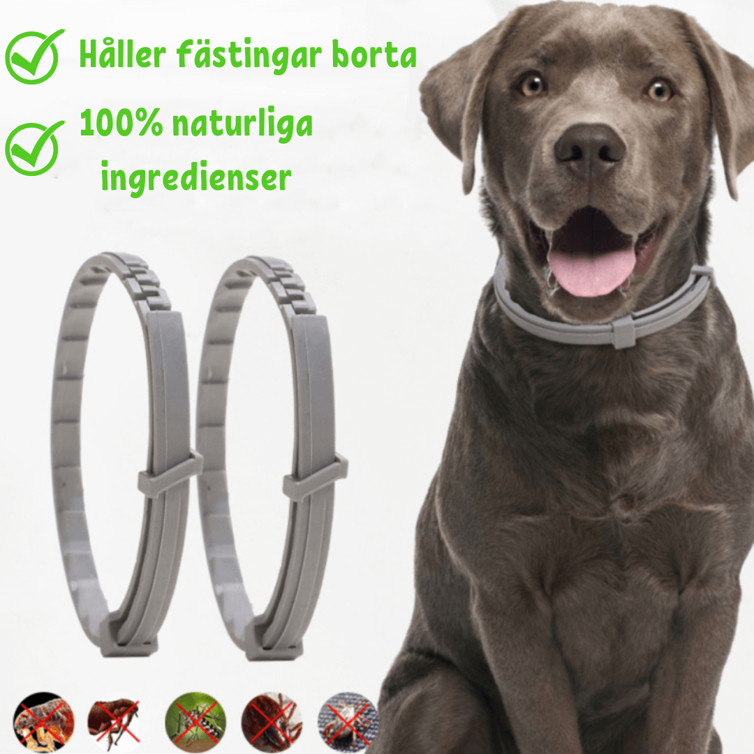 Collier anti-puces et anti-tiques pour chiens et chats