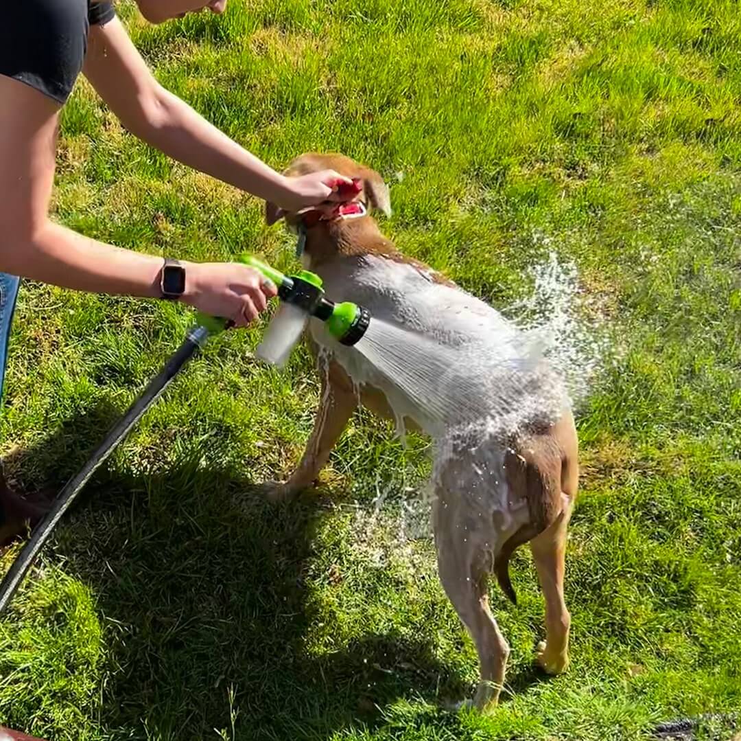 Hunde-Duschbrause für schnelles & einfaches Waschen