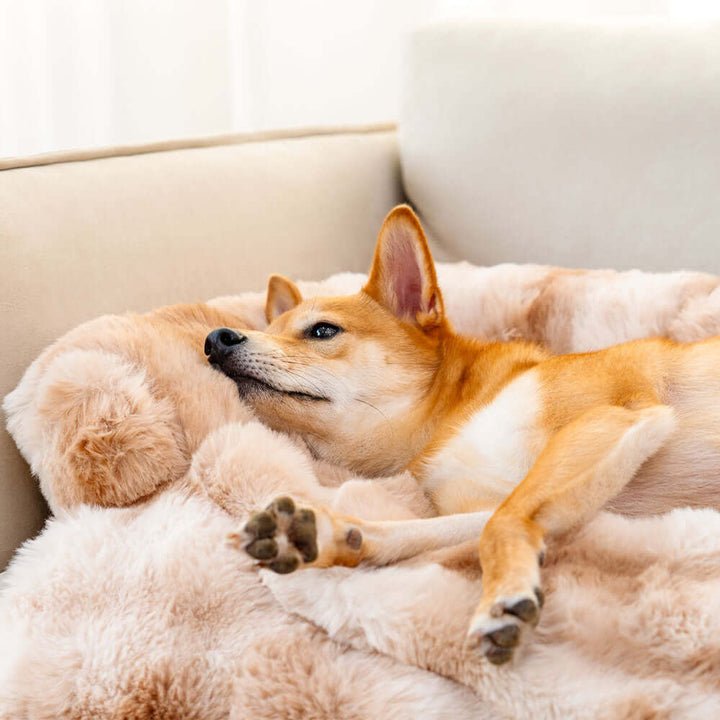 Couverture de canapé pour chien en peluche PlushNest