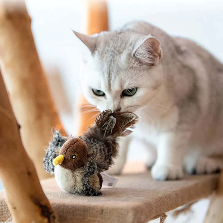 Jouet interactif pour chat oiseau avec sons
