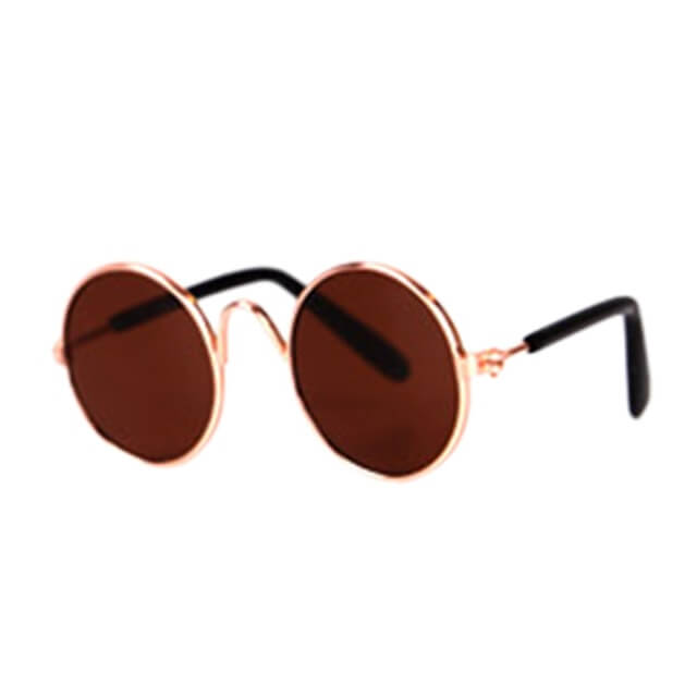 Lunettes tendance pour chat - KittyShades