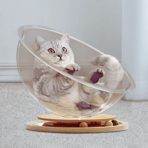 Grotte pour chat avec jouets - grotte de jeu pour câlins