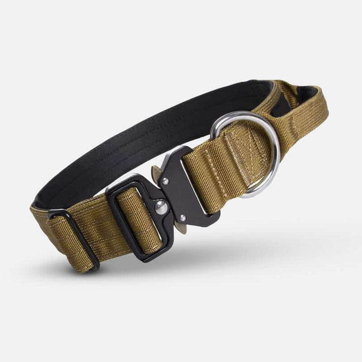 Collier tactique pour chien avec poignée - Robuste et sûr