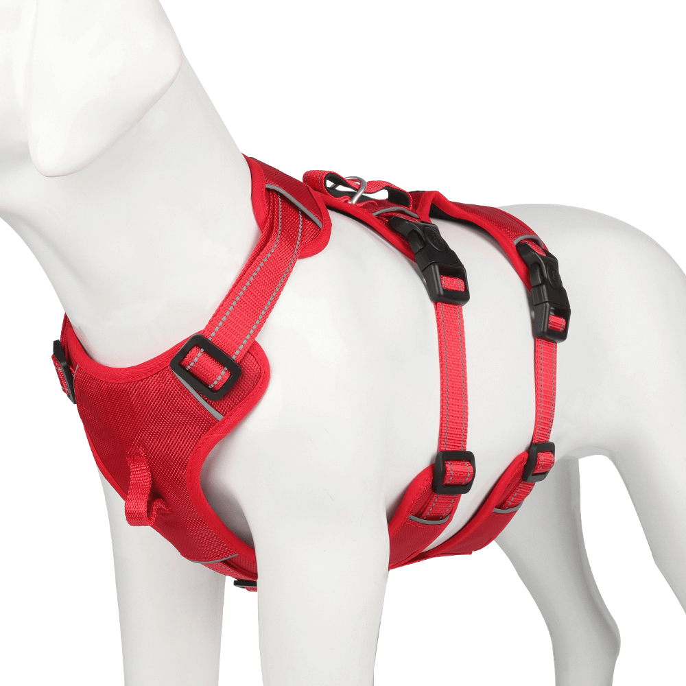 Harnais réfléchissant pour chien, anti-traction et confort
