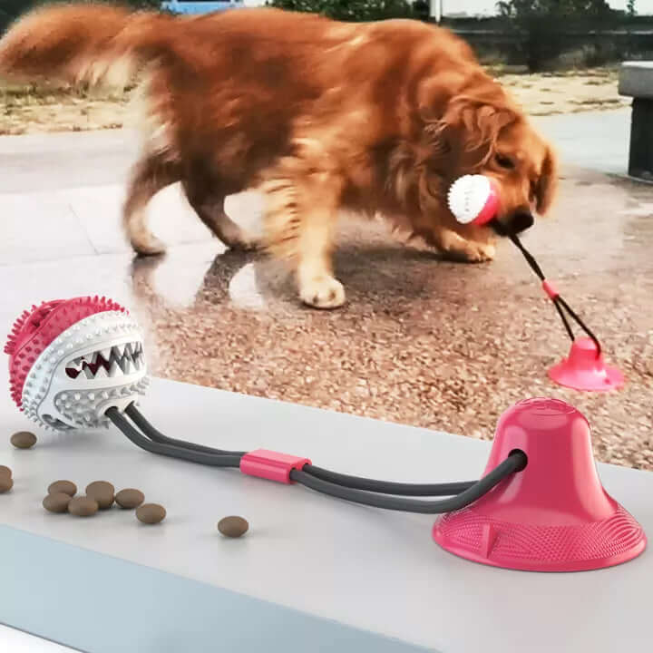 Jouet à tirer robuste pour chien avec ventouse