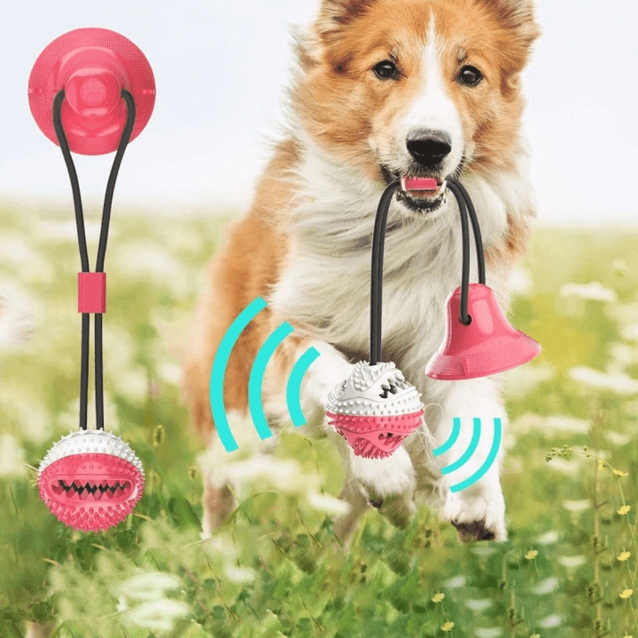 Jouet à tirer robuste pour chien avec ventouse