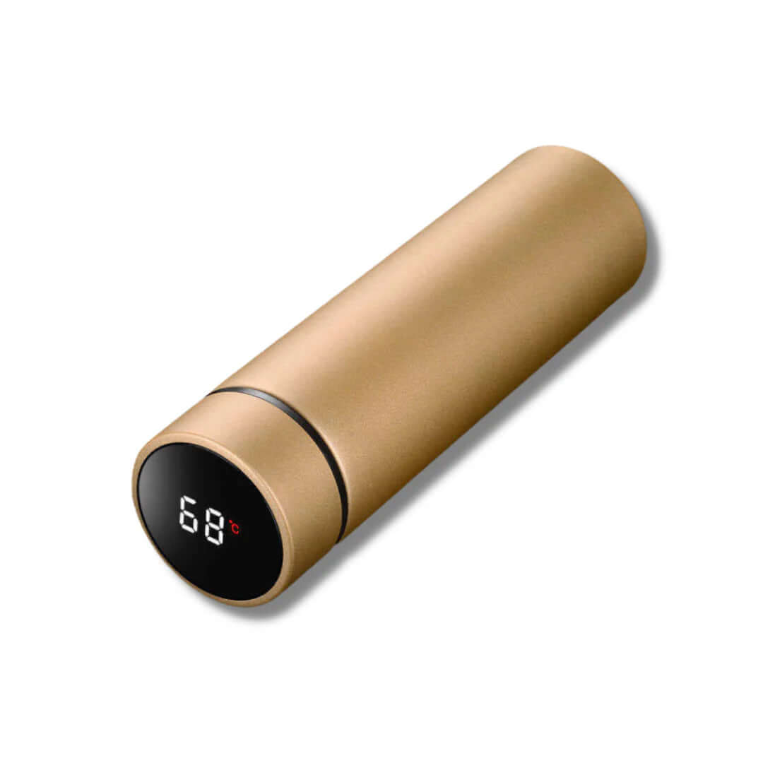 Bouteille thermos en acier inoxydable avec thermomètre numérique