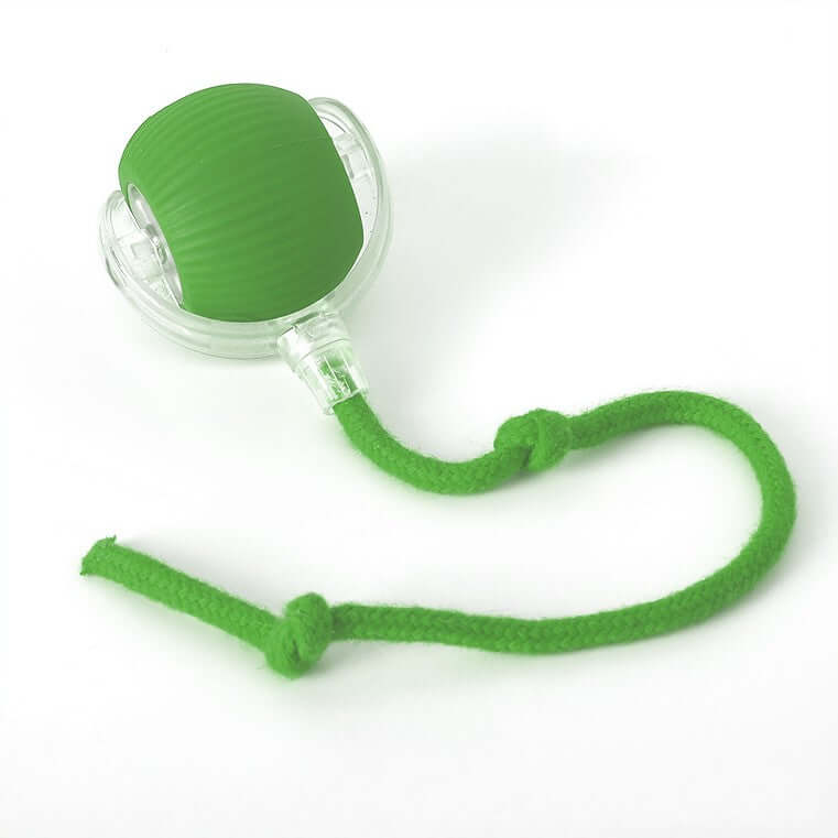 Balle interactive pour chat avec queue