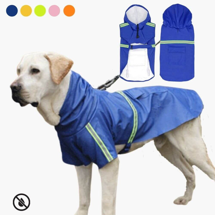 Veste imperméable pour chien pour tous les temps