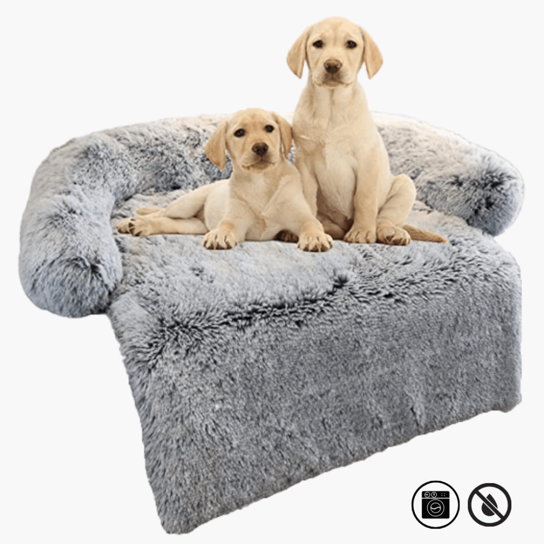 Canapé confortable pour chien et animal de compagnie